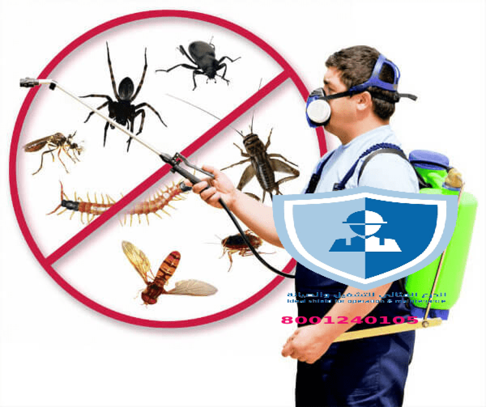 شركة إبادة حشرات بالرياض