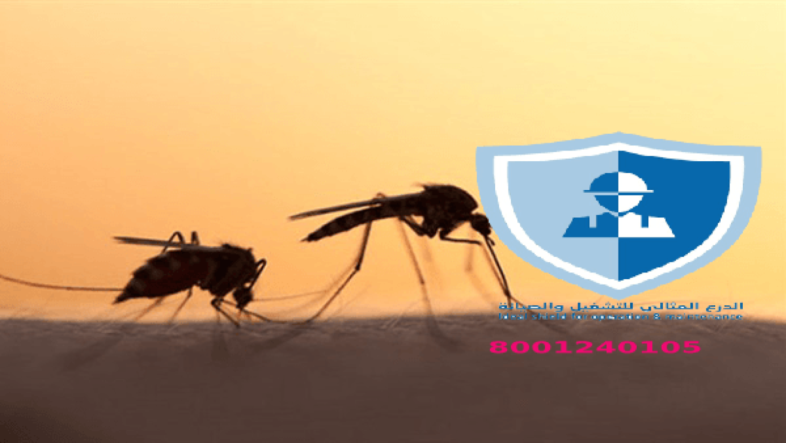 شركة مكافحة ناموس بالرياض