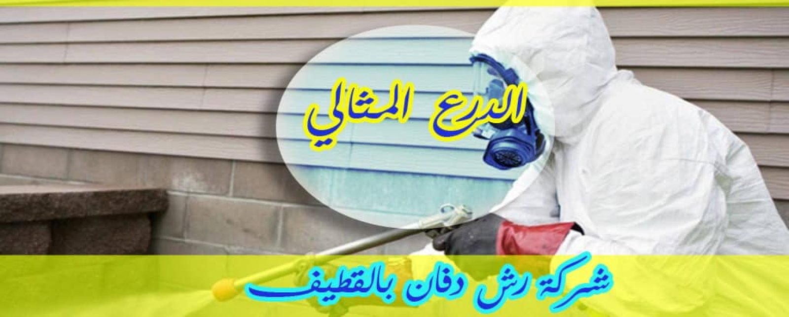 شركة رش دفان بالقطيف