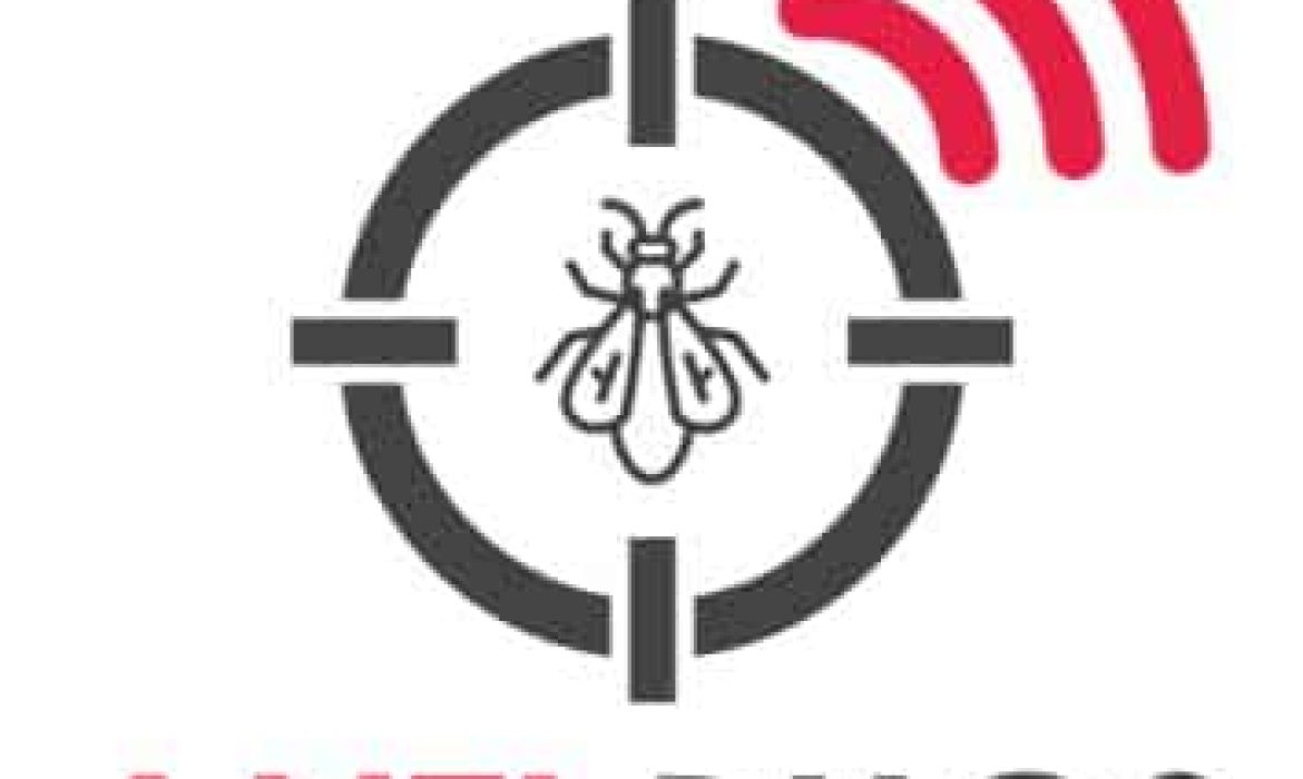 شركة رش مبيدات بالاحساء