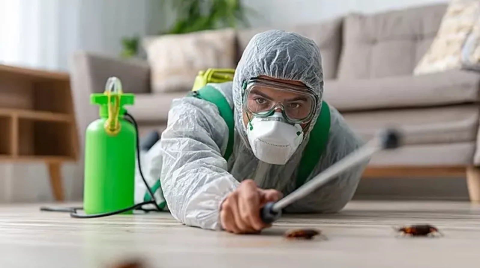 شركة رش مبيدات بالقطيف