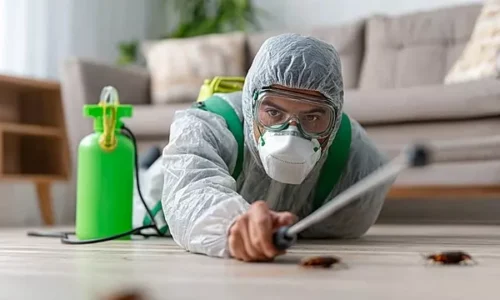 شركة رش مبيدات بالقطيف 0538851327