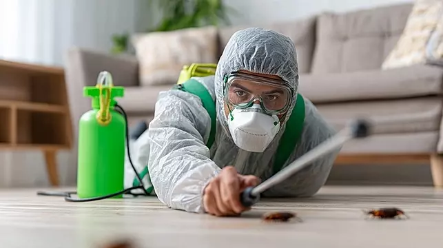 شركة رش مبيدات بالقطيف