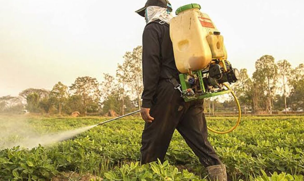 شركة رش مبيدات بالخبر