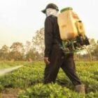 شركة رش مبيدات بالخبر 0538851327