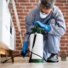 شركة رش مبيدات بالاحساء 0538851327