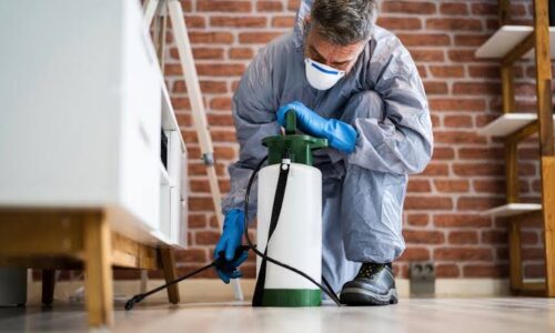 شركة رش مبيدات بالاحساء 0538851327