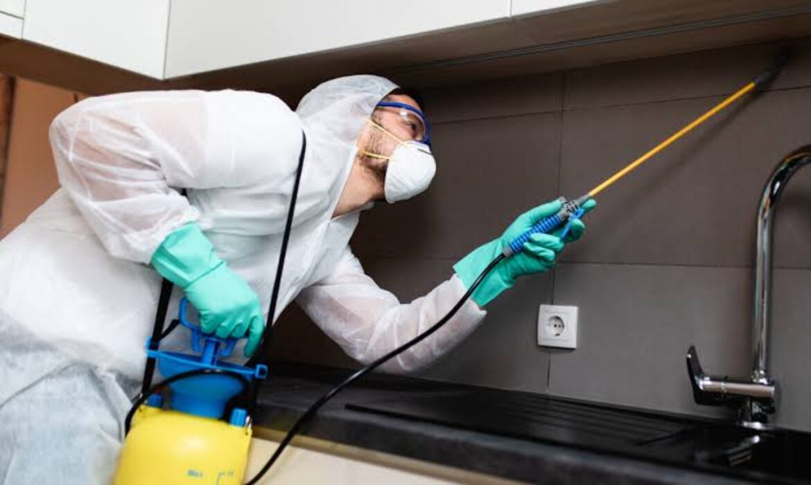 شركة رش مبيدات بالخبر