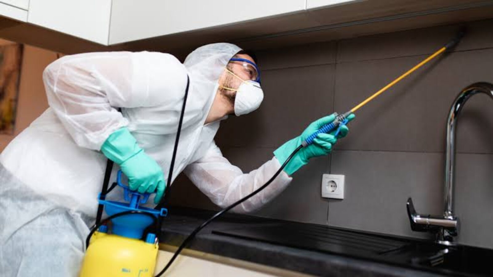 شركة رش مبيدات بالخبر