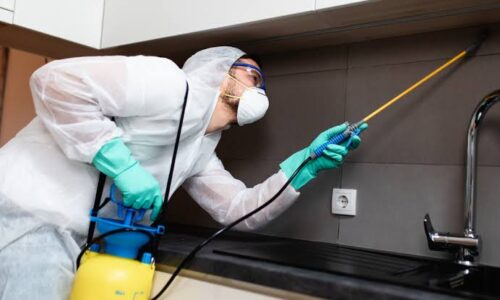 شركة رش مبيدات بالخبر 0538851327