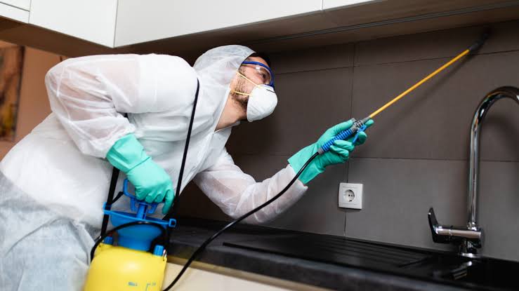 شركة رش مبيدات بالخبر