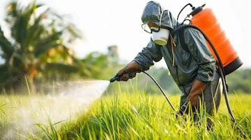 شركة رش مبيدات بالاحساء